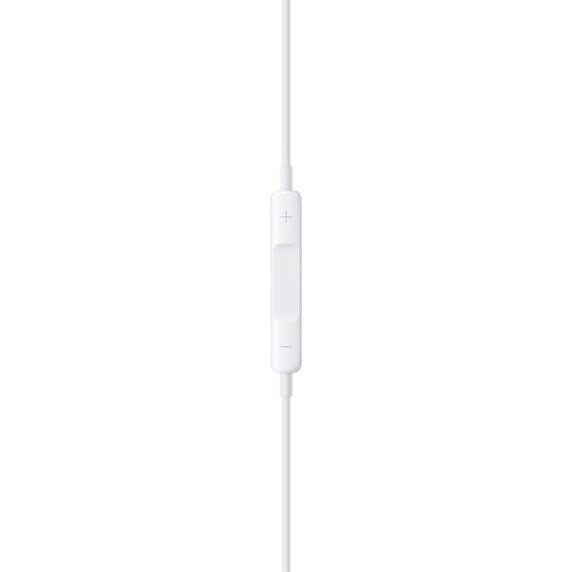 Apple EarPods with Lightning Connector - MMTN2ZM/A цена и информация | Ausinės | pigu.lt