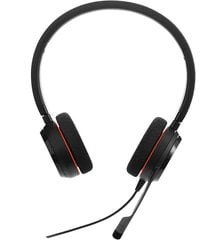 Jabra Evolve 20 Stereo UC Black цена и информация | Наушники | pigu.lt