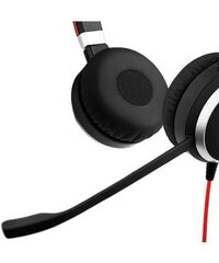 Jabra Evolve 40 Stereo UC цена и информация | Теплая повязка на уши, черная | pigu.lt