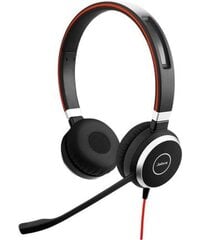 Jabra Evolve 40 Stereo UC цена и информация | Наушники | pigu.lt