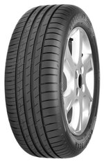 Goodyear EFFICIENTGRIP PERFORMANCE 225/55R16 95 V kaina ir informacija | Goodyear Gyvūnų prekės | pigu.lt