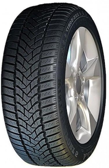 Dunlop SP Winter Sport 5 215/60R17 96 H kaina ir informacija | Žieminės padangos | pigu.lt