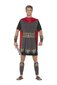 Karnavalinis kostiumas Gladiatorius, pilkas kaina ir informacija | Karnavaliniai kostiumai | pigu.lt