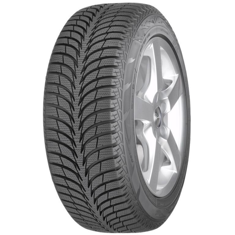 SAVA Eskimo ice 205/60R16 96T XL цена и информация | Žieminės padangos | pigu.lt