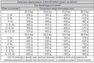 Bosch Tiernahrung Junior Maxi su paukštiena, 15 kg kaina ir informacija | Sausas maistas šunims | pigu.lt