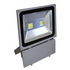 LED наружное освещение F1201 80W цена и информация | Уличные светильники | pigu.lt
