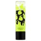 Lūpų balzamas Collection Lip Balm Green Apple 9 g kaina ir informacija | Lūpų dažai, blizgiai, balzamai, vazelinai | pigu.lt