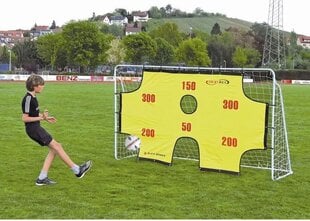Футбольные ворота с мишенями Spartan, 90х165х90 см. цена и информация | Футбольные ворота и сетки | pigu.lt