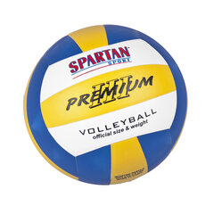 Tinklinio kamuolys Spartan Indoor kaina ir informacija | Spartan Sportas, laisvalaikis, turizmas | pigu.lt