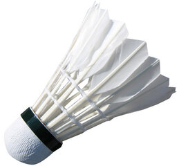 Badmintono skrajukai Spartan, 12 vnt. kaina ir informacija | Badmintonas | pigu.lt
