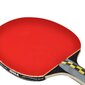 Stalo teniso raketė Ping pong racket Joola Carbon Pro kaina ir informacija | Stalo teniso raketės, dėklai ir rinkiniai | pigu.lt