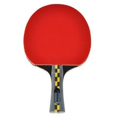 Ракетка для настольного тенниса Ping pong racket Joola Carbon Pro цена и информация | Ракетки для настольного тенниса, чехлы и наборы | pigu.lt