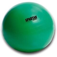 SPARTAN gimnastikos kamuolys 65 cm GREEN kaina ir informacija | Kitos fitneso prekės | pigu.lt