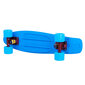 Riedlentė Worker Pennyboard Sunbow Spitfire 22ʺ цена и информация | Riedlentės | pigu.lt