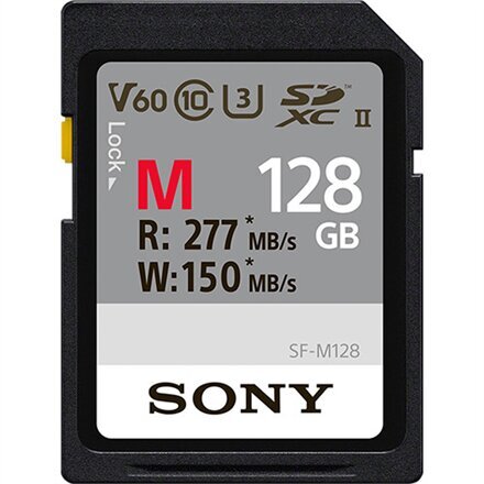 Sony SDXC Professional 128GB Class 10 kaina ir informacija | Atminties kortelės fotoaparatams, kameroms | pigu.lt