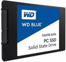 Western Digital Blue WDS250G1B0A kaina ir informacija | Vidiniai kietieji diskai (HDD, SSD, Hybrid) | pigu.lt