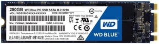 Western Digital SSD 250GB M.2 SATAIII WDS250G1B0B цена и информация | Внутренние жёсткие диски (HDD, SSD, Hybrid) | pigu.lt