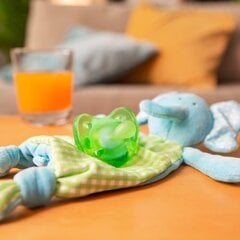 Chicco Physio Soft Art.02711.31 Green  безопасная для сна,силиконовая, литая, 0 м+ цена и информация | Средства для гигиены | pigu.lt