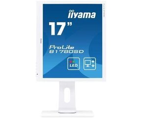 Монитор Iiyama LED monitor PROLITE B1780SD-W1 17, TN LED, 1280 x 1024 pixels, 5:4, 5 ms, 250 cd цена и информация | Мониторы | pigu.lt