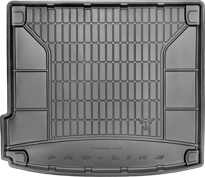 Guminis bagažinės kilimėlis Proline BMW X6 E71 2008-2014 цена и информация | Modeliniai bagažinių kilimėliai | pigu.lt