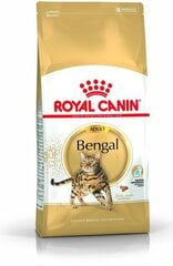 Royal Canin корм для кошек породы Бенгальские Bengal Adult, 10 кг цена и информация | Сухой корм для кошек | pigu.lt