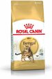 Royal Canin Bengalų veislės katėms Bengal Adult, 10 kg