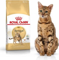 Royal Canin Bengalų veislės katėms Bengal Adult, 0,4 kg kaina ir informacija | Sausas maistas katėms | pigu.lt