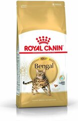 Royal Canin Bengalų veislės katėms Bengal Adult, 0,4 kg kaina ir informacija | Sausas maistas katėms | pigu.lt