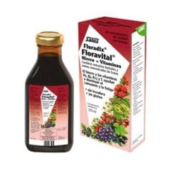 FLORADIX Floravital dzelzs (bezglutēna sastāvs) 250 ml цена и информация | Витамины, пищевые добавки, препараты для иммунитета | pigu.lt