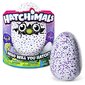 Violetinis kiaušinis su drakoniuku Hatchimals, 1 vnt. kaina ir informacija | Žaislai mergaitėms | pigu.lt