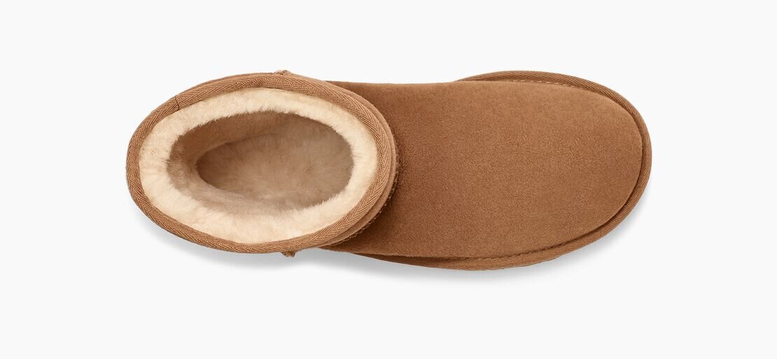 UGG moteriški aulinukai Classic Short II 1016223, rudi kaina ir informacija | Aulinukai, ilgaauliai batai moterims | pigu.lt