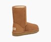 UGG moteriški aulinukai Classic Short II 1016223, rudi kaina ir informacija | Aulinukai, ilgaauliai batai moterims | pigu.lt