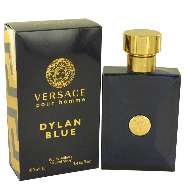 Tualetinis vanduo Versace Pour Homme Dylan Blue EDT vyrams 100 ml kaina ir informacija | Kvepalai vyrams | pigu.lt
