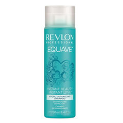 Drėkinamsis plaukų šampūnas Revlon Professional Equave Instant Beauty Love Hydro Shampoo 250 ml kaina ir informacija | Šampūnai | pigu.lt