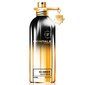 Kvapusis vanduo Montale Paris So Amber EDP moterims/vyrams 100 ml kaina ir informacija | Kvepalai moterims | pigu.lt