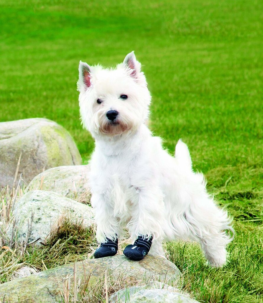 Trixie Walker Active apsauginiai batai XS, 2 vnt. kaina ir informacija | Drabužiai šunims | pigu.lt