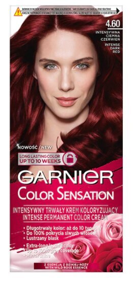 Ilgalaikiai plaukų dažai Garnier Color Sensation 110 ml, 4.60 Intense Dark Red цена и информация | Plaukų dažai | pigu.lt