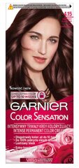 Ilgalaikiai plaukų dažai Garnier Color Sensation 4.15 Icy Chestnut, 110 ml kaina ir informacija | Plaukų dažai | pigu.lt
