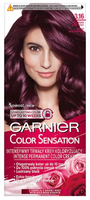 Ilgalaikiai plaukų dažai Garnier Color Sensation 110 ml, 3.16 Deep Amethyste kaina ir informacija | Plaukų dažai | pigu.lt