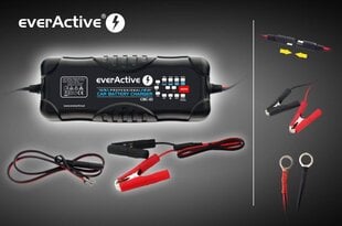 Зарядное устройство everActive CBC-10 12/24В, 10-300Ач цена и информация | Зарядные устройства для аккумуляторов | pigu.lt