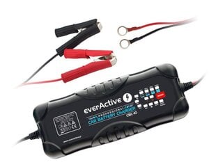 Akumuliatorių įkroviklis everActive CBC-10 12/24V, 10-300Ah kaina ir informacija | everActive Autoprekės | pigu.lt