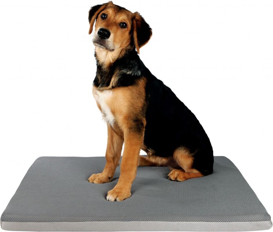 Guolis gyvūnams Trixie Aiko, 65×40 cm, pilkas kaina ir informacija | Guoliai, pagalvėlės | pigu.lt