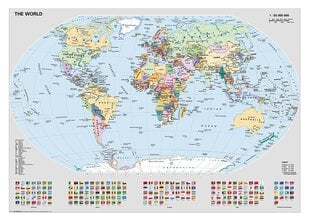 Пазл Ravensburger политическая карта мира, 1000 деталей цена и информация | Ravensburger Товары для детей и младенцев | pigu.lt