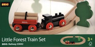Žaislinis mažas traukinys Brio, 33042 kaina ir informacija | Žaislai berniukams | pigu.lt