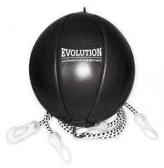Боксёрская груша Evolution TG - 220 цена и информация | Боевые искусства | pigu.lt