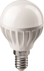 LED lemputė Acme Mini Globe 6W kaina ir informacija | Acme Foto įranga | pigu.lt