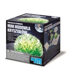 Kūrybinis rinkinys 4M Glow Crystal Growing kaina ir informacija | Lavinamieji žaislai | pigu.lt