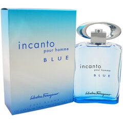 Salvatore Ferragamo Incanto Blue EDT для мужчин 100 мл цена и информация | Мужские духи | pigu.lt