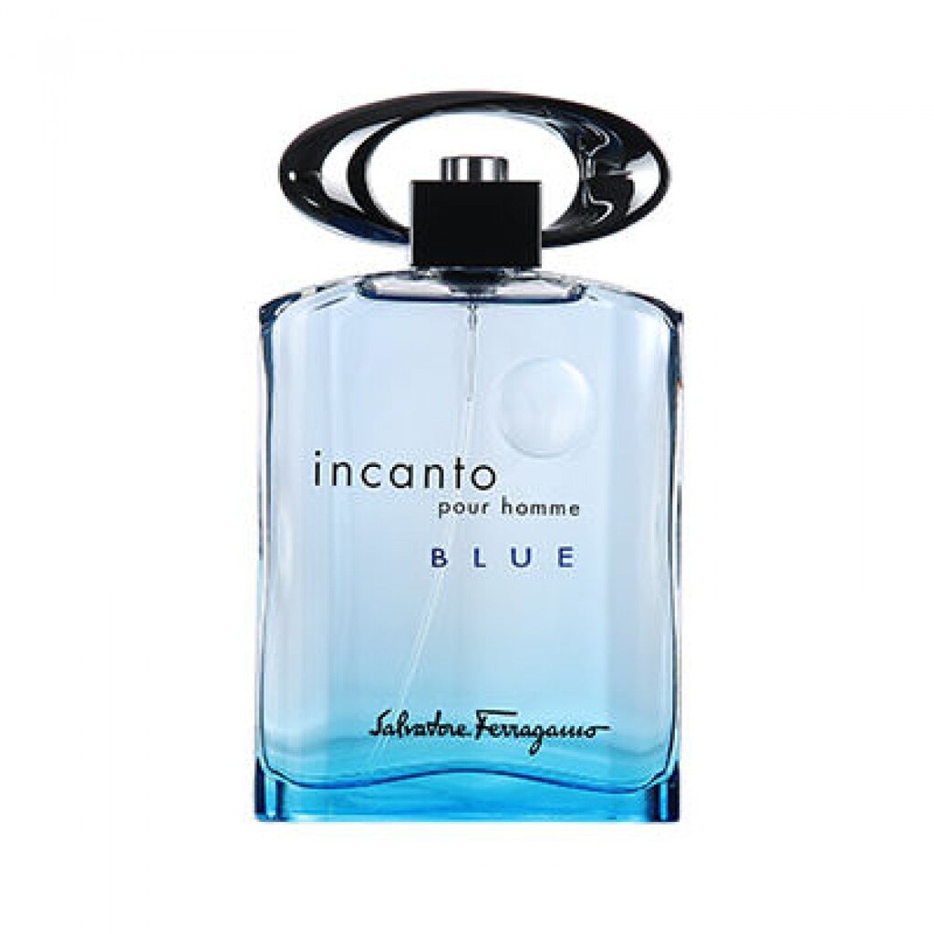 Tualetinis vanduo Salvatore Ferragamo Incanto Blue EDT vyrams 100 ml kaina ir informacija | Kvepalai vyrams | pigu.lt