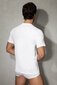 Marškinėliai vyrams Doreanse 2505 kaina ir informacija | Vyriški apatiniai marškinėliai | pigu.lt